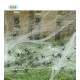 Pavouci sada - Halloween - 50 ks